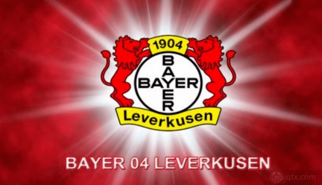 这一过程使 这一过程使