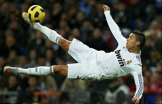 了观赏性和 了观赏性和