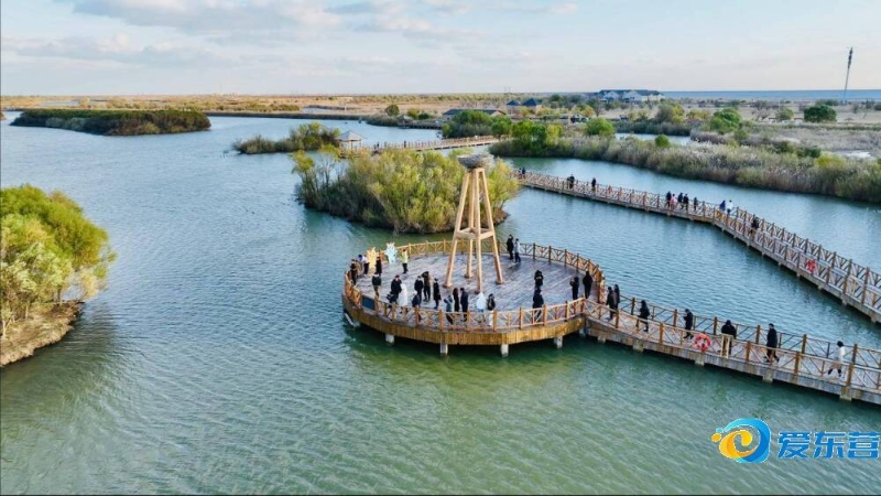 队的晋级难 队的晋级难