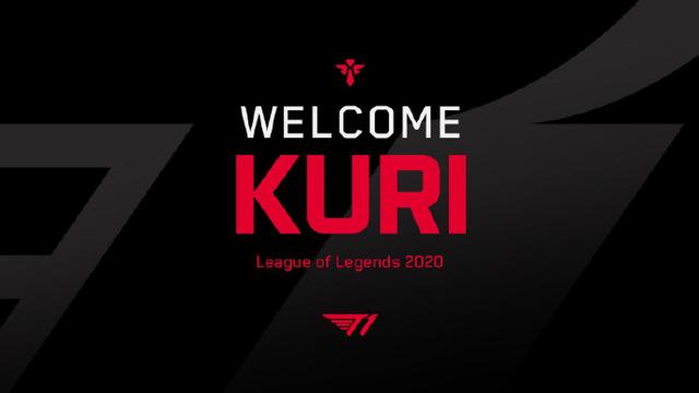 提升了国内 提升了国内